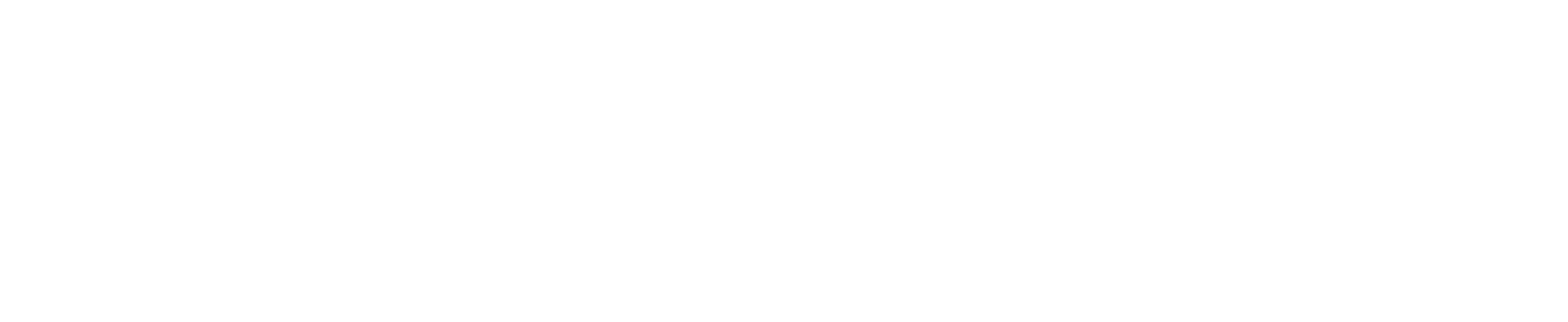 Amotus, a Vectanor Division